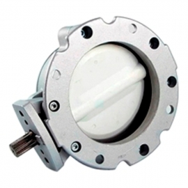 V1FS250SN Затвор дисковый